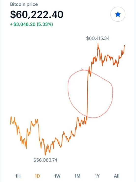 The US stimulus check was used to buy Bitcoin